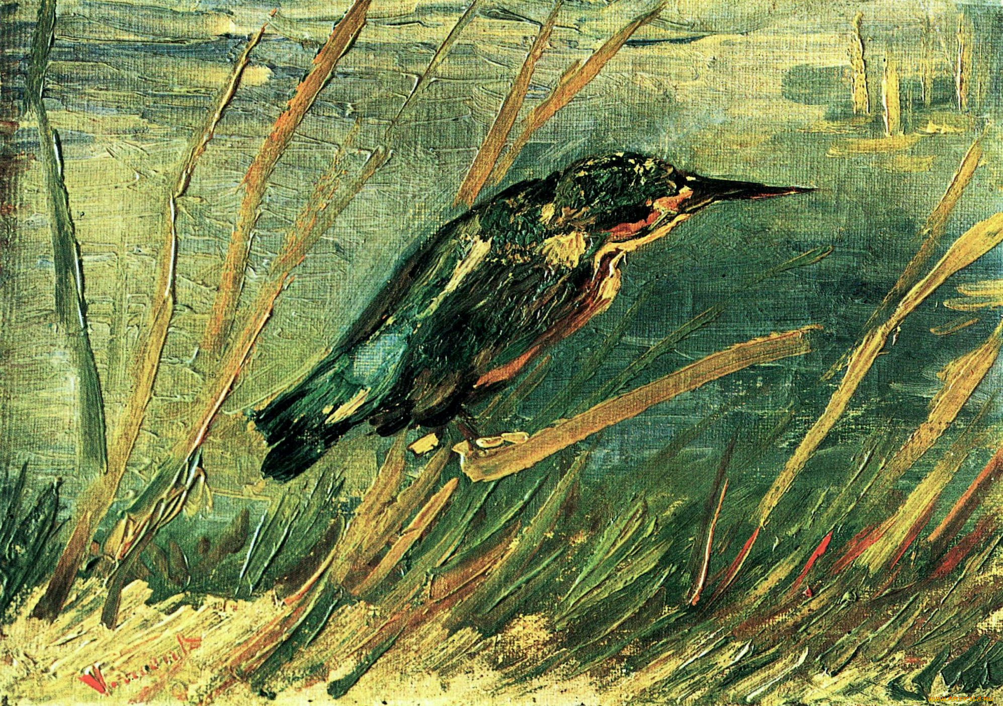 the, kingfisher, , vincent, van, gogh, 
